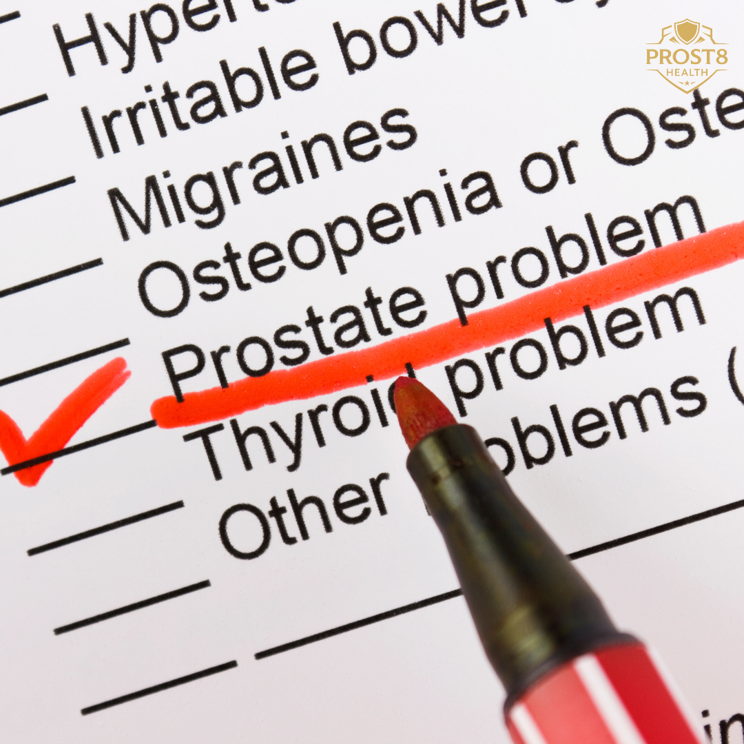 Understanding the Prostate: What It Is, Why It Matters, and How Prost8 Can Help